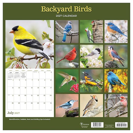 2027 Backyard Birds Wall Calendar